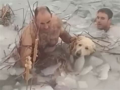 Spanish Police Officers Wade Through Frozen Lake To Save A Dog Trapped ...