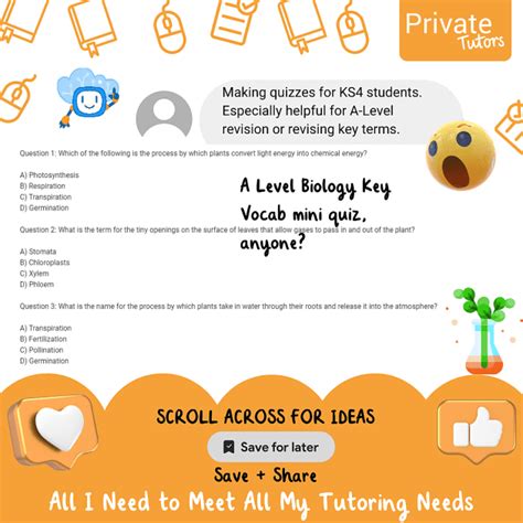 A Tutor Guide to Assessment in KS3 and Beyond: GCSE Revision