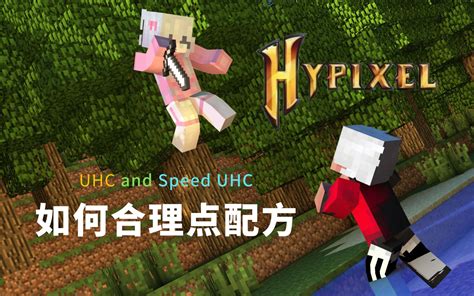Randomizer UHC IP 的图像结果