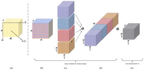 SPMF-YOLO-Tracker: A Method for Quantifying Individual Activity Levels ...