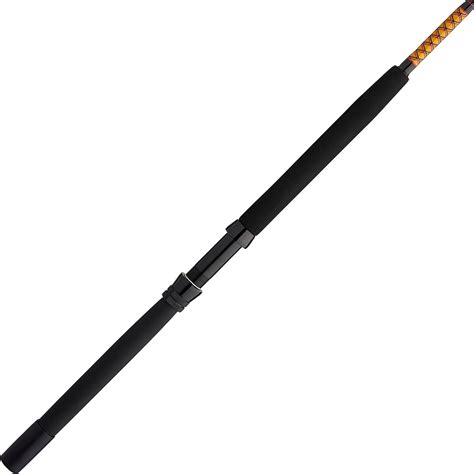 Ugly Stik Bigwater Stand Up Conventional Fishing Rod India | Ubuy