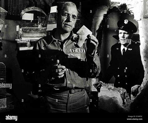 Birdman of alcatraz hi-res stock photography and images - Alamy