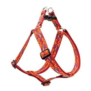 Lupine 1" Go Go Gecko 24-38 Step In Dog Harness : Amazon.in: Pet Supplies