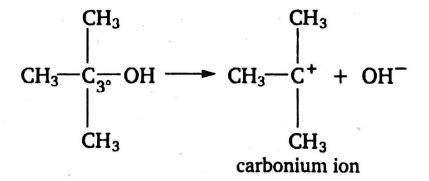 The alcohol which easily reacts with conc. HCl is