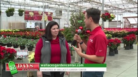 12 Days of Christmas: Wallace's Garden Center | wqad.com