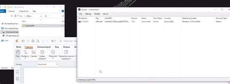 Document.write Exploit 的图像结果