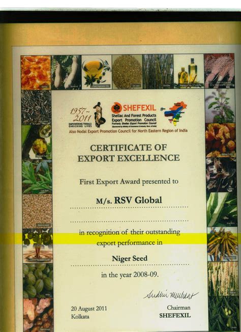 RSV Global Raipur | Home