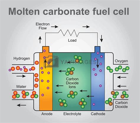 Fuel Cell Structure 的图像结果