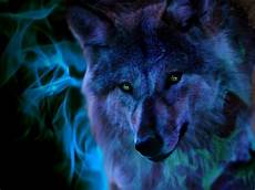 cool green wolf wallpaper wolf image wallpapers wallpaper cave cool green wolf wallpaper wolf image wallpapers wallpaper cave