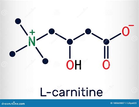 Lcarnitine Structure