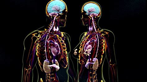 Image result for Computer Programming Homework