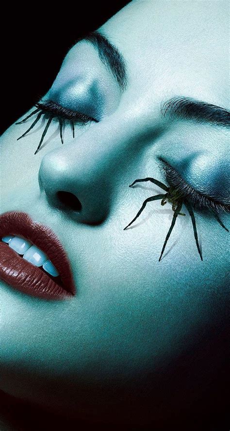 Image result for Spider Species Classification Using Machine Learning