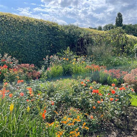 DEMEN, OSS Guide (2026) All You Need to Know BEFORE You Go (with Photos)