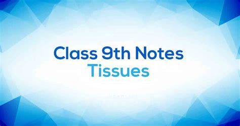 Image result for Tissues Class 9 Notes Byjus