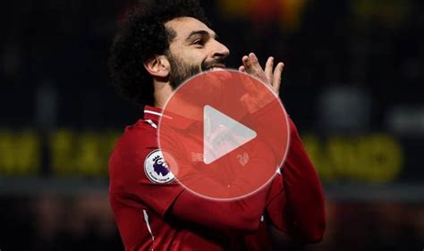 Image result for Wolves Live Stream