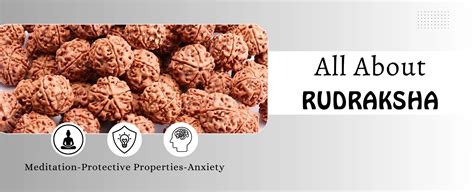 "Rudraksha Gemstone: The Ultimate Guide to Its Physical and ...