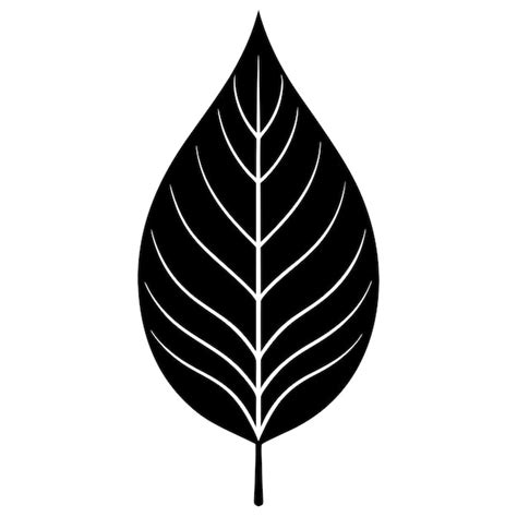 Elegant leaf silhouette line drawing vector illustration with ...