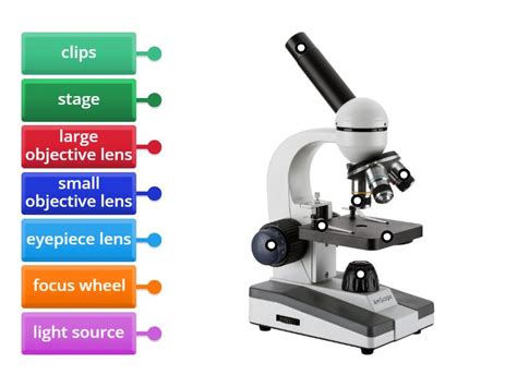 Science Microscope 的图像结果