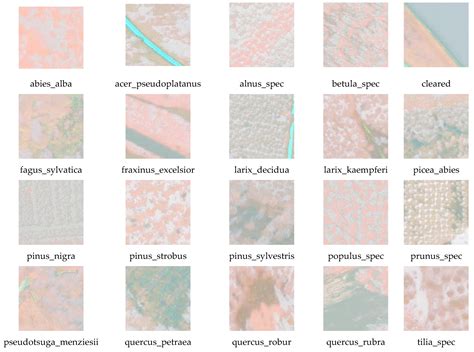 A Multi-Scale Convolution and Multi-Layer Fusion Network for Remote ...