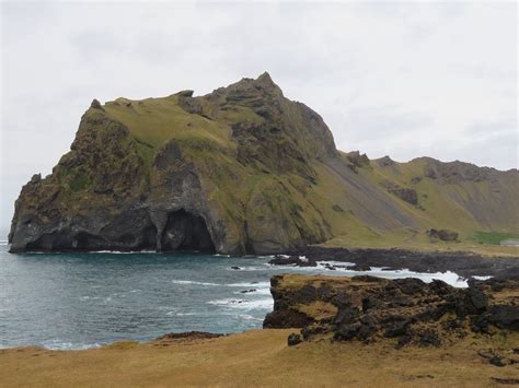 SEABIRDS AND CLIFF ADVENTURES (2026) All You Need to Know BEFORE You Go ...