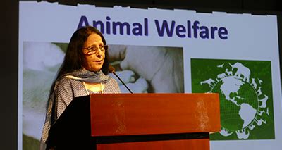 Community Services :: Raghubir Singh Junior Modern School