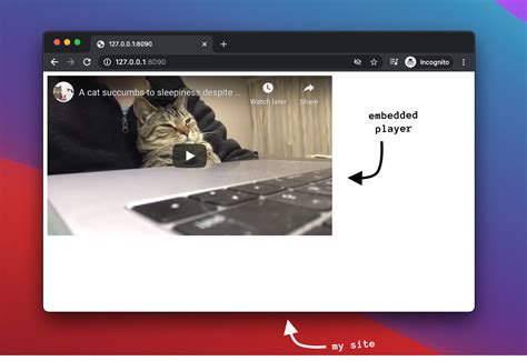 YouTube Embedded Players and Player Parameters  |  YouTube IFrame Player API  |  Google for Develope