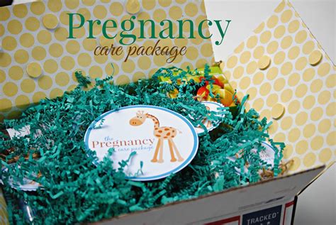 The Pregnancy Care Package
