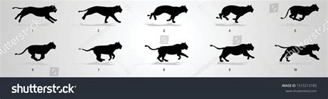 Run Animation 的图像结果