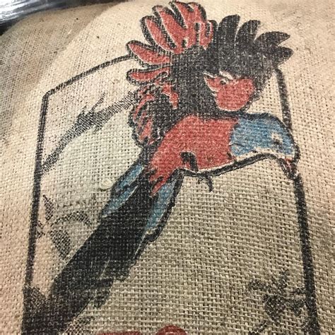 Image result for Java Brothers