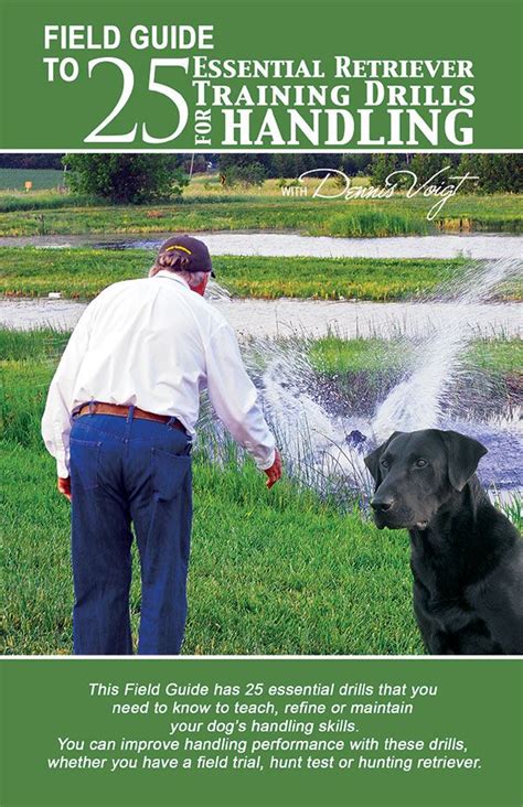 Image result for Training Retrieving Dogs