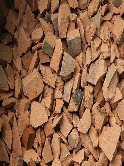 Shop Now 3kg Clay Chips for Gardening & Plant Growth