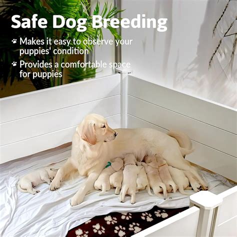Littledove Whelping Box for Large Breed Dogs, Whelping Box for India | Ubuy
