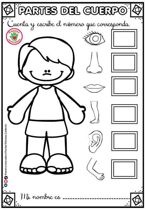 Actividades Para Aprender Las Partes Del Cuerpo Humano Kulturaupice ...