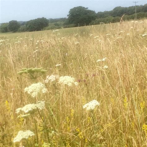 COURTYARD FARM (2026) All You Need to Know BEFORE You Go (with Photos ...