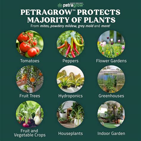 PetraGrow Crop Defender Leaf Guard Super Concentrate India | Ubuy