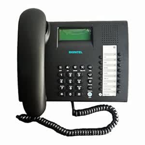 Signtel SL-910 Dual-Line LCD Display Phone, FSK/DTMF Caller-ID, 99 ...