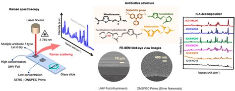 Recent Progress in Nanomaterial-Based Surface-Enhanced Raman ...