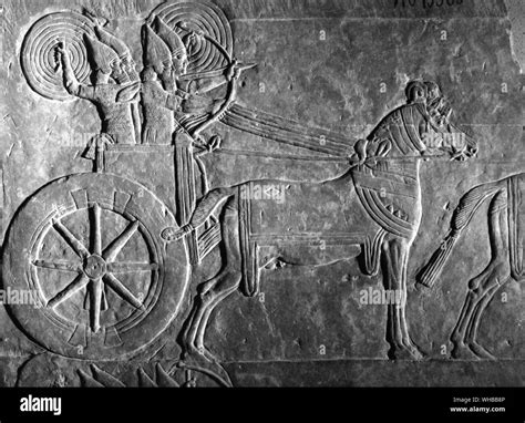 Assyrian relief from the Palace of Ashurbanipal : Mesopotamian chariot ...