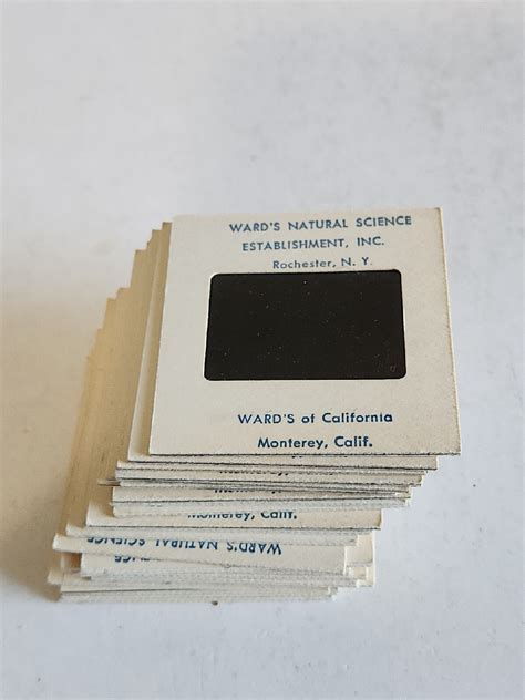 Lot Of 25 Ward's Natural Science 35mm Slides Waterfalls Stones ...