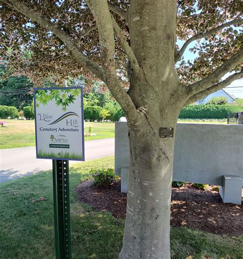 Arboretum Landing Page | Blue Hill Cemetery and Crematory