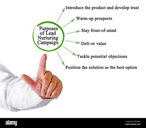 Image result for Lead Nurturing Campaign Examples