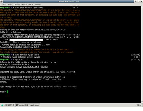 SQLAlchemy Query 的图像结果