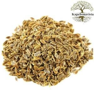 MAXKIA Soyo Seeds SOYA Seed 100g seeds Seed Price in India - Buy MAXKIA ...