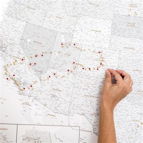 USA Map with Pins 的图像结果