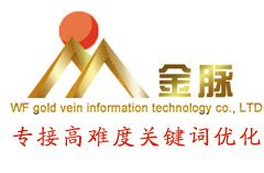 高端网站建设制作-推广服务项目-潍坊金脉信息科技有限公司