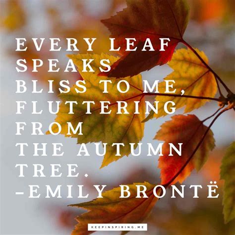 Fall Quotes and Sayings for Autumn | Keep Inspiring Me