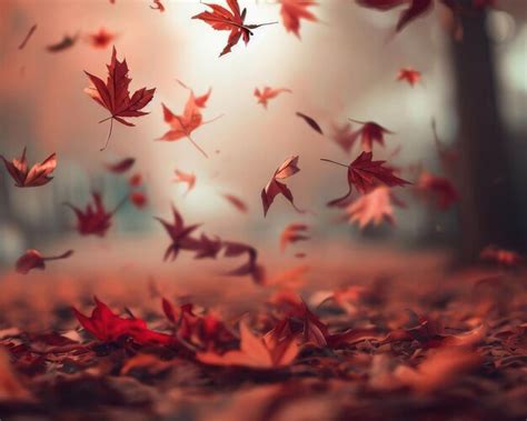 Image result for Fall Pattern Background HD