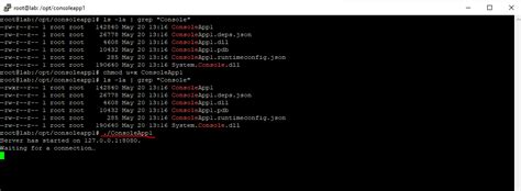 Image result for C# Console App Client Server .Net Remoting
