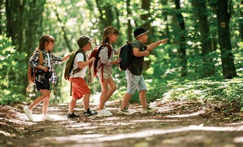 Trafford Offers Free Holiday Clubs for Children This Summer