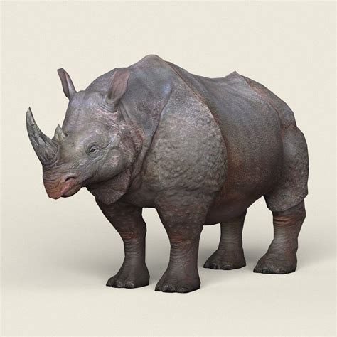 Rhinoceros 3d Cademy | Fast SubD Modeling Workflow In Rhinoceros 3D